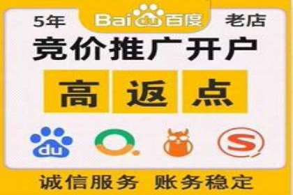 搜索引擎营销（SEM）专员的挑战与机遇