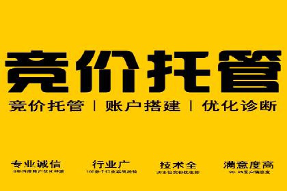 成功SEM推广案例：借鉴与启示